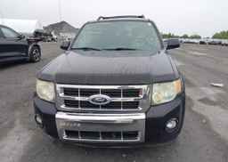2010 FORD ESCAPE LIMITED