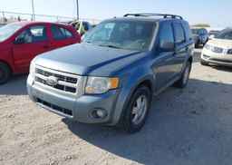 2010 FORD ESCAPE XLT