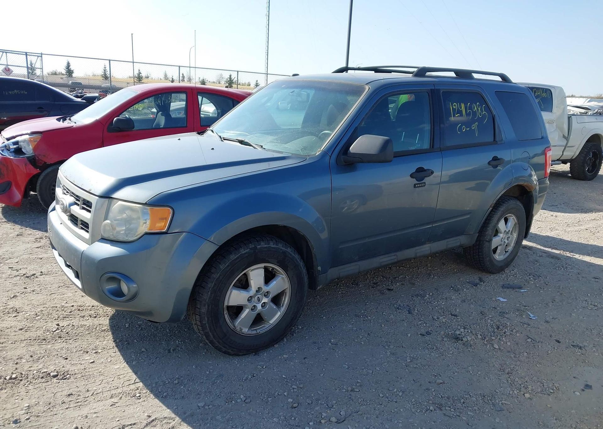 2010 FORD ESCAPE XLT