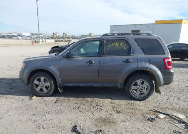 2012 FORD ESCAPE XLT