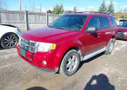 2011 FORD ESCAPE XLT