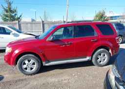 2011 FORD ESCAPE XLT