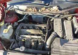 2010 DODGE CALIBER SXT