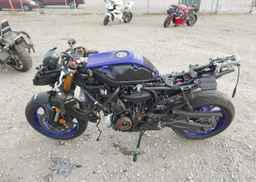 2025 YAMAHA YZFR7