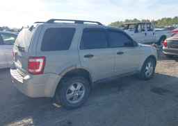 2009 FORD ESCAPE XLT