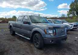 2011 FORD F150 SUPERCREW