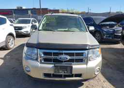 2011 FORD ESCAPE XLT