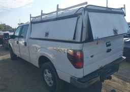 2013 FORD F-150 XLT