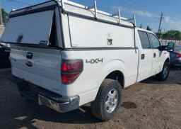 2013 FORD F-150 XLT