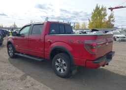 2011 FORD F-150 FX4