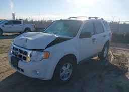 2012 FORD ESCAPE XLT
