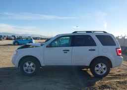2012 FORD ESCAPE XLT