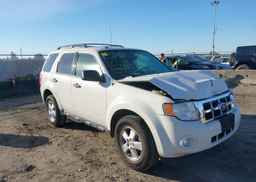 2012 FORD ESCAPE XLT