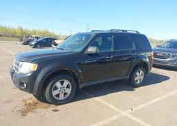 2011 FORD ESCAPE XLT