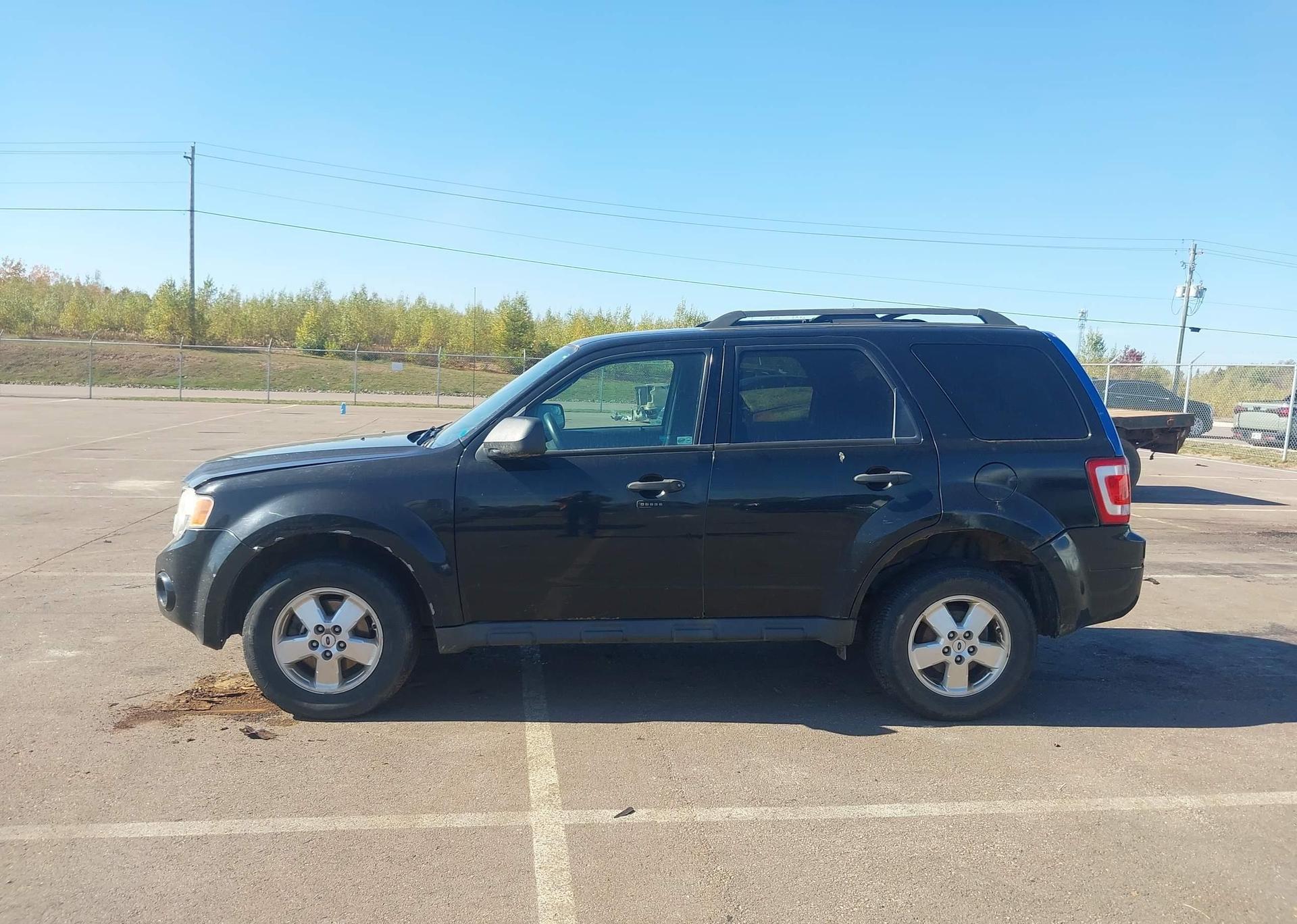2011 FORD ESCAPE XLT