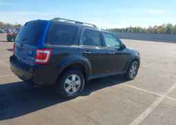 2011 FORD ESCAPE XLT