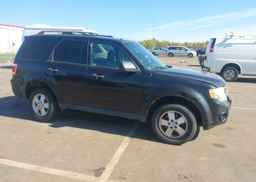 2011 FORD ESCAPE XLT