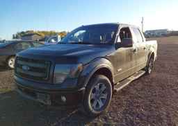 2013 FORD F-150 FX4