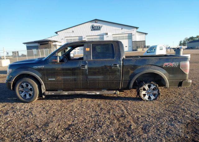 2013 FORD F-150 FX4