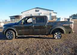 2013 FORD F-150 FX4
