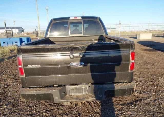 2013 FORD F-150 FX4