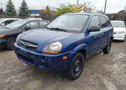 2009 HYUNDAI TUCSON 25TH ANNIVERSARY