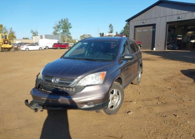 2010 HONDA CR-V LX