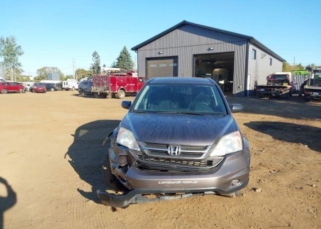 2010 HONDA CR-V LX