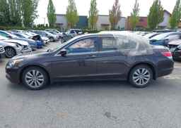 2011 HONDA ACCORD EXL