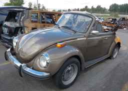 1973 VOLKSWAGEN BEETLE
