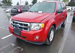 2011 FORD ESCAPE XLT