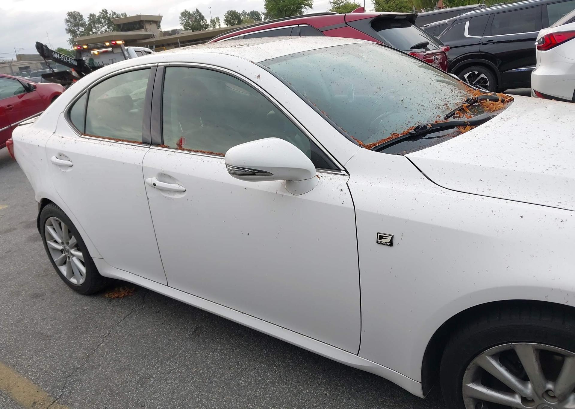 2009 LEXUS IS 250