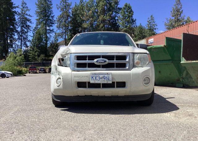 2012 FORD ESCAPE XLT