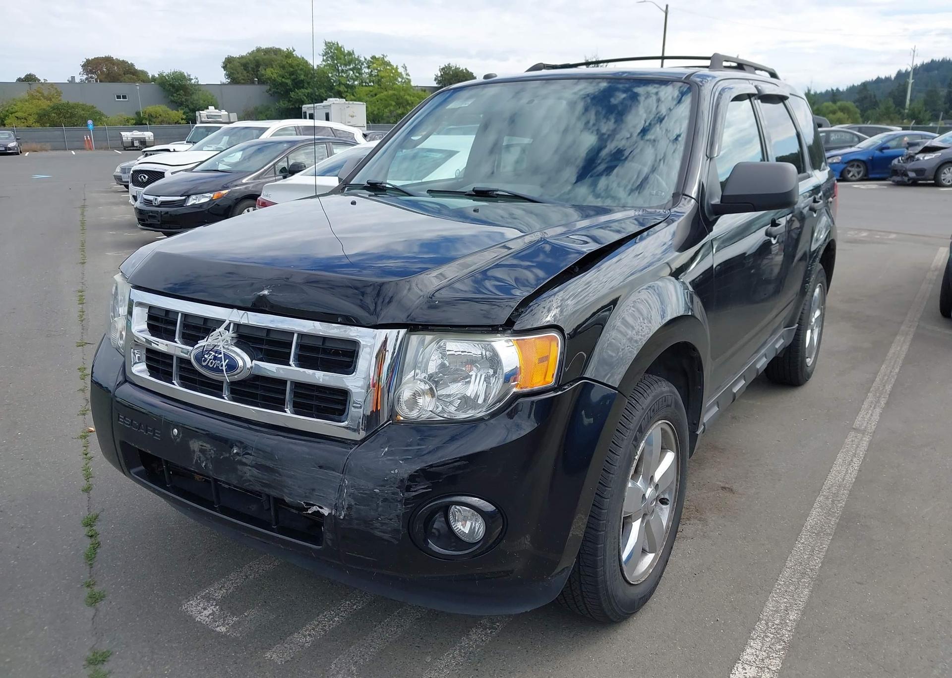 2010 FORD ESCAPE XLT