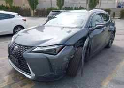 2024 LEXUS UX 250H