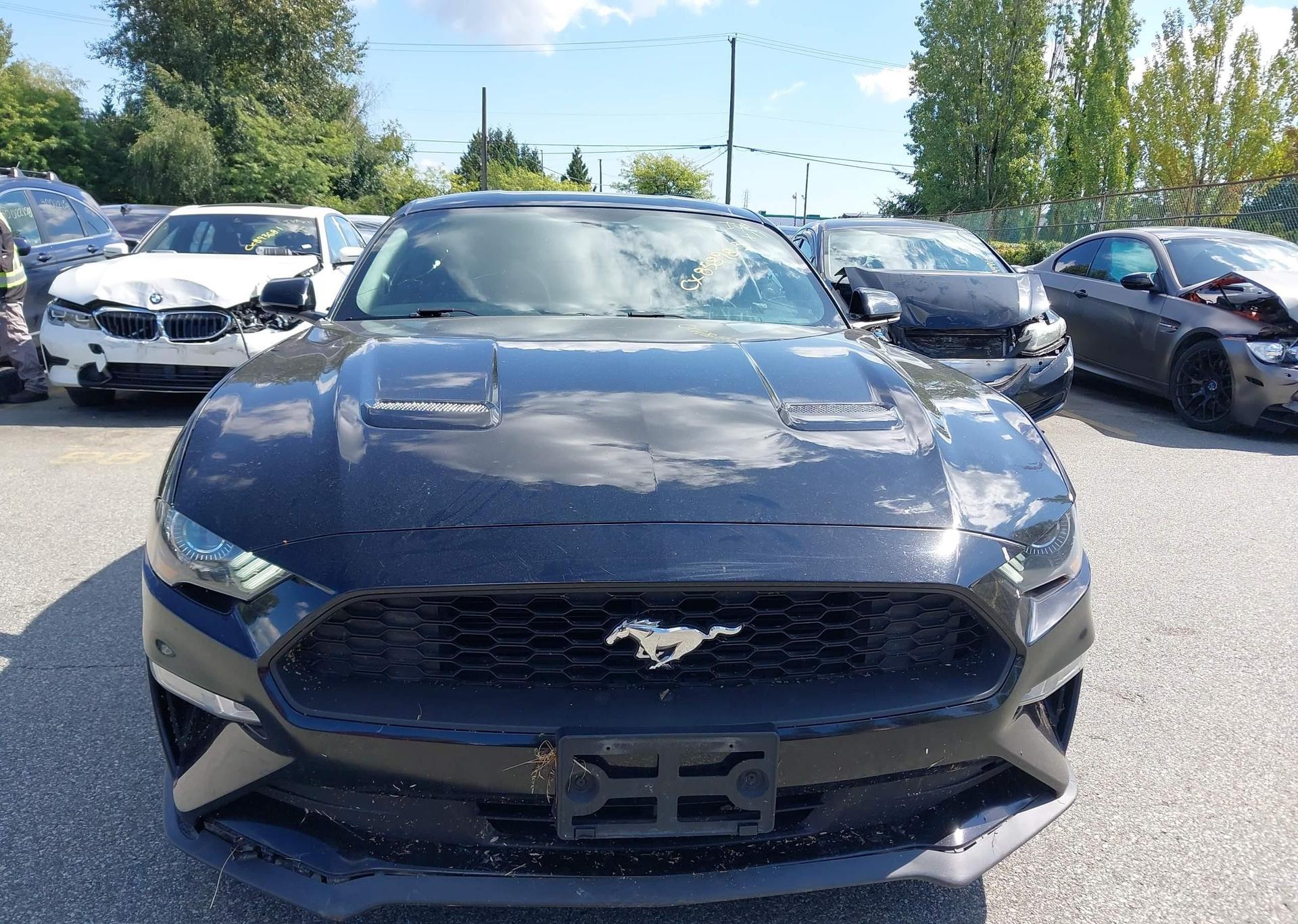 2019 FORD MUSTANG