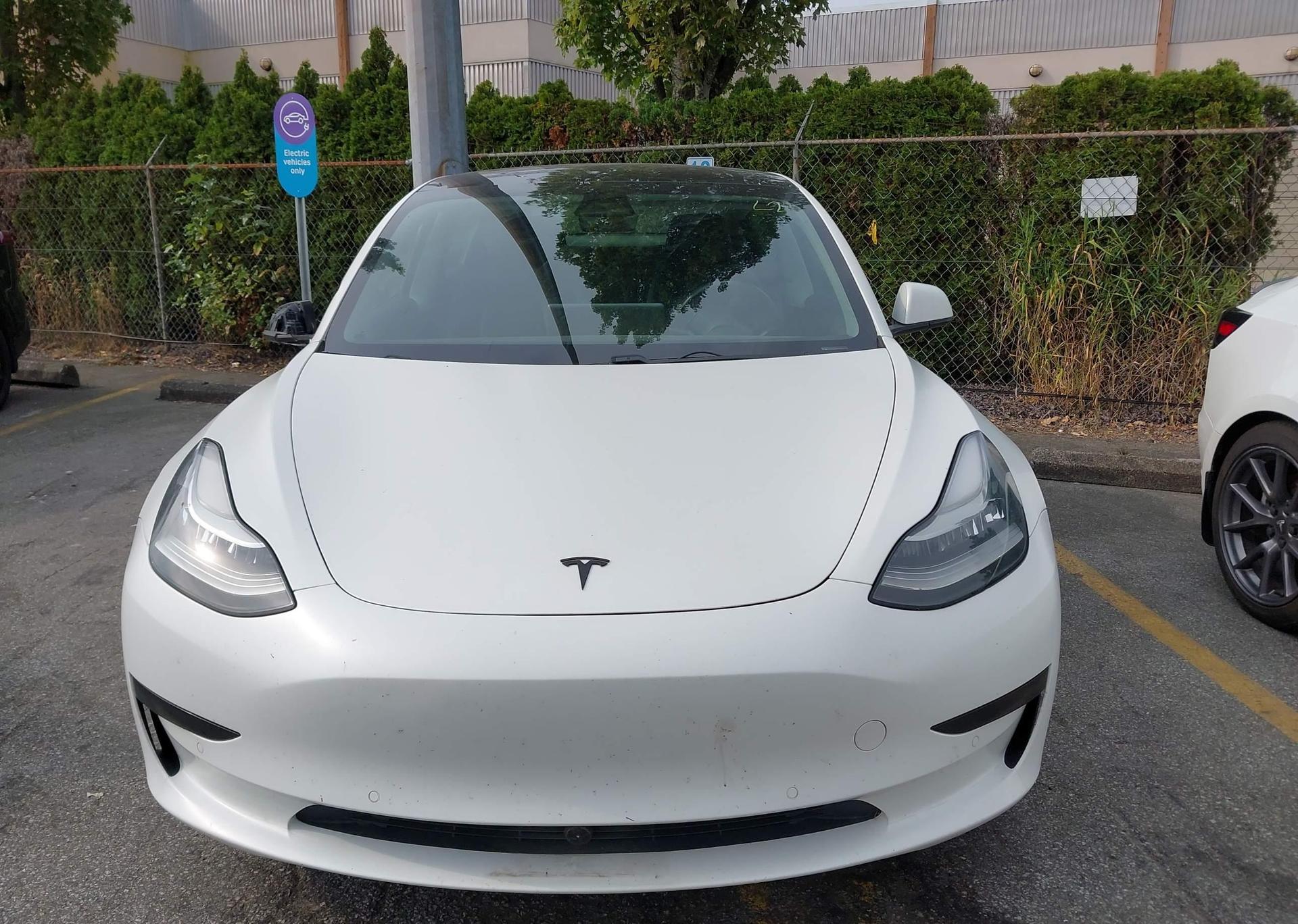 2019 TESLA MODEL 3