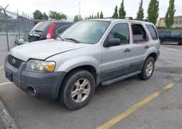 2007 FORD ESCAPE XLT