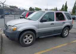 2007 FORD ESCAPE XLT