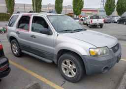 2007 FORD ESCAPE XLT