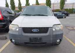 2007 FORD ESCAPE XLT