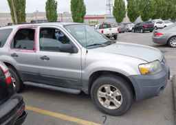 2007 FORD ESCAPE XLT