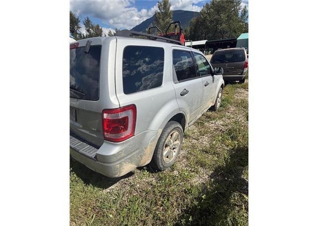 2008 FORD ESCAPE XLT