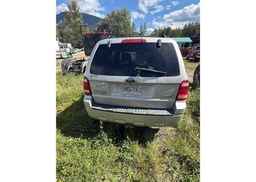 2008 FORD ESCAPE XLT