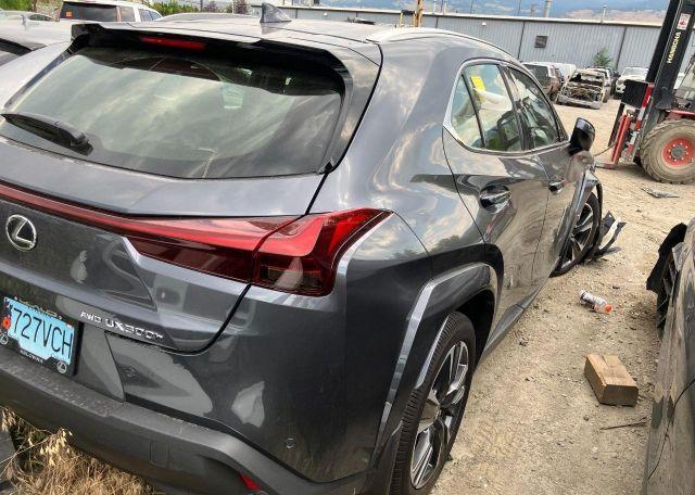 2025 LEXUS UX 300H