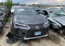2025 LEXUS UX 300H