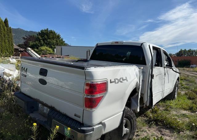 2010 FORD F150