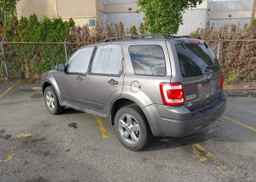 2011 FORD ESCAPE XLT