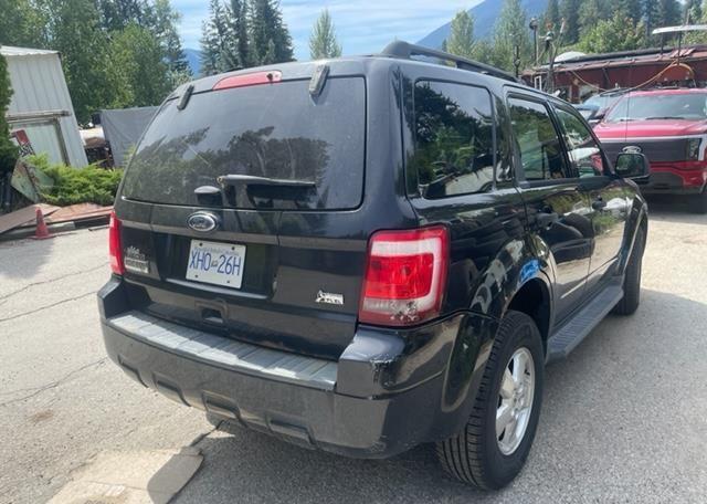 2011 FORD ESCAPE XLT