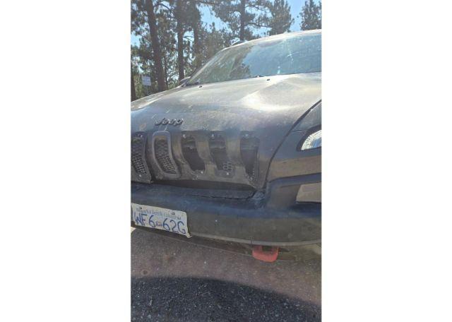 2015 JEEP CHEROKEE TRAILHAWK